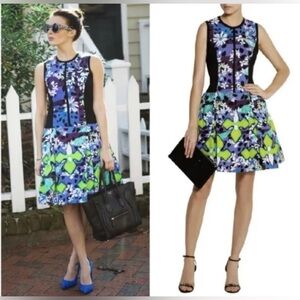 Peter Pilotto Target Skater Abstract Dress